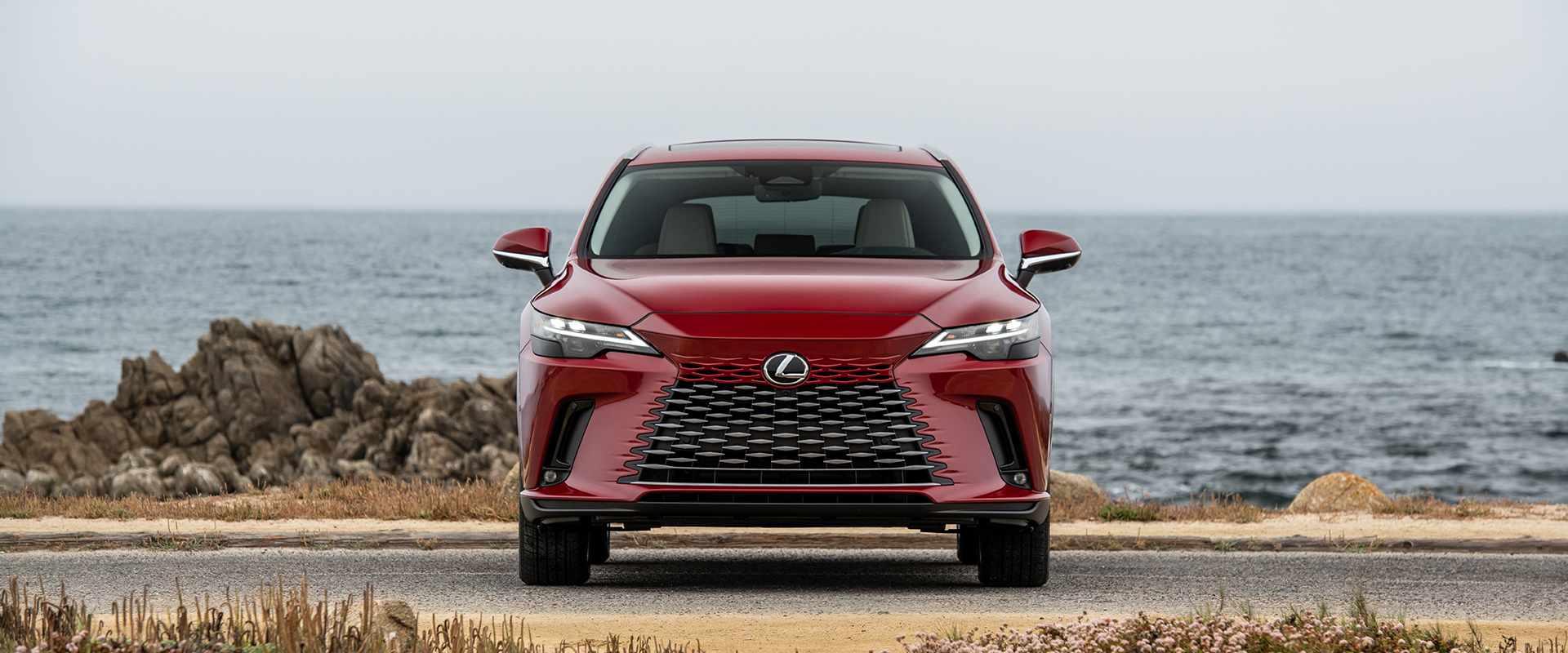 Lexus RX350 hybrid Premium