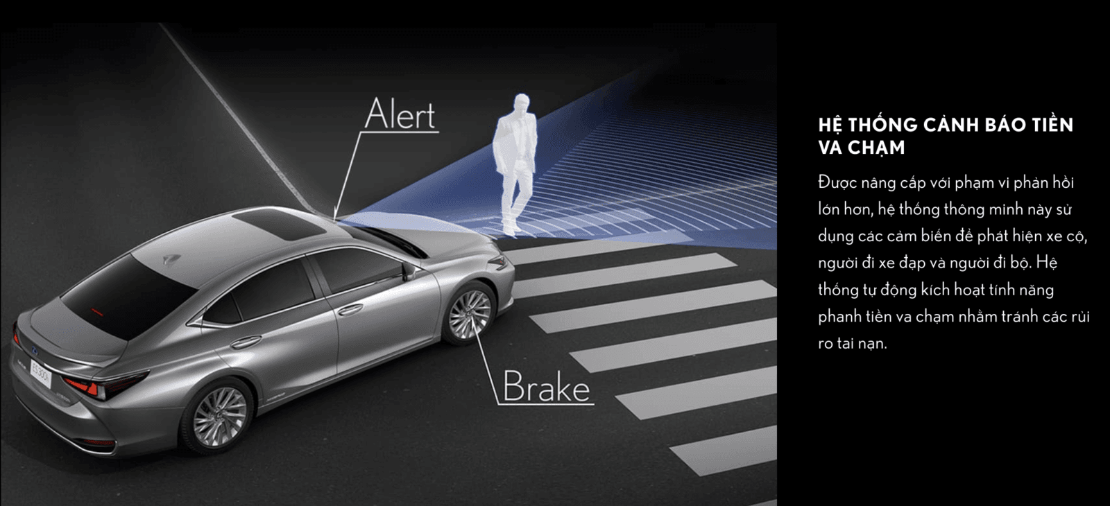 Hệ thống an toàn Lexus ES 250 F Sport
